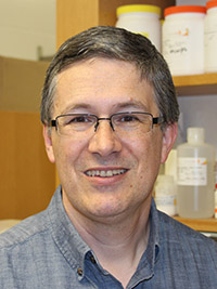 Miklos Sahin-Toth, MD, PhD