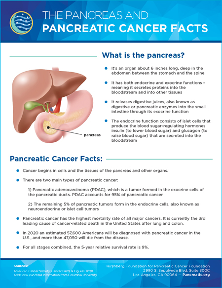 stage 4 pancreatic cancer remission rate